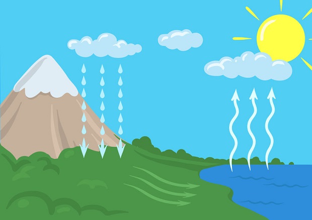 Vector schematic representation of the water cycle in nature. Infographics Illustration.